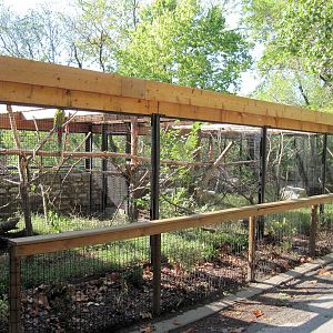 Tropical Animals-Green-winged and Military Macaw Exhibit