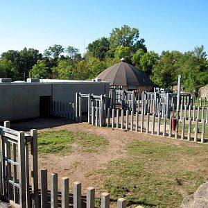 Africa-African Elephant Exhibit