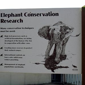 Africa-Signage