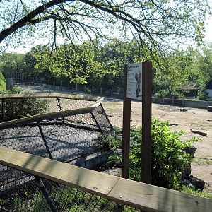 Africa-Elephant Overlook