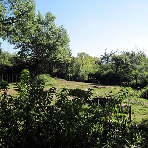 Africa-African Elephant Exhibit