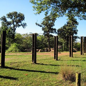 Africa-African Elephant Exhibit