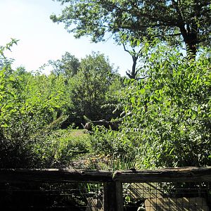 Africa-African Elephant Exhibit