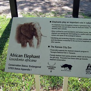 Africa-Signage