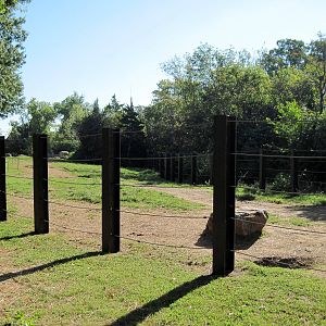 Africa-African Elephant Exhibit