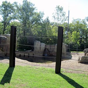 Africa-African Elephant Exhibit