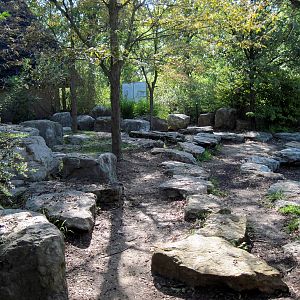 Africa-African Elephant Exhibit Viewing Area