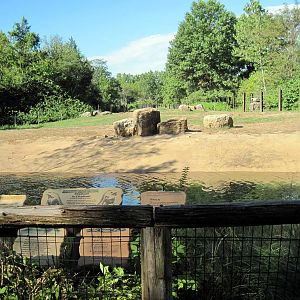 Africa-African Elephant Exhibit