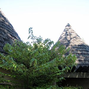 Africa-Huts