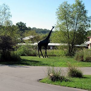 Africa-Giraffe Statue