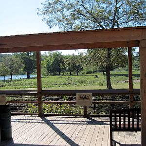 Africa-Plains Viewing Deck
