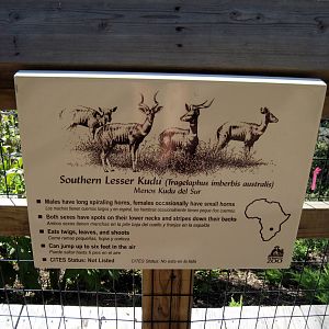 Africa-Signage