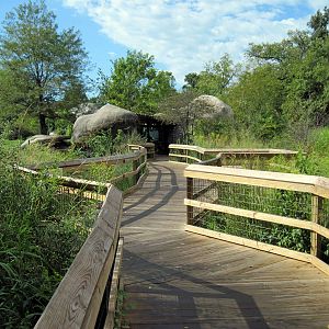 Africa-Cheetah Exhibit Viewing Deck
