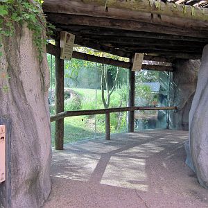 Africa-Cheetah Exhibit Viewing Cave