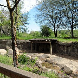 Africa-Warthog Exhibit