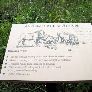 Africa-Signage