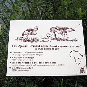 Africa-Signage