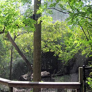 Africa-African Leopard Exhibit
