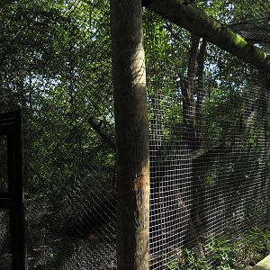 Africa-African Leopard Exhibit