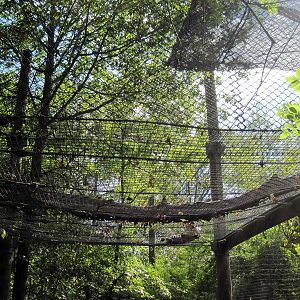Africa-African Leopard Exhibit