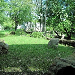 Africa-Western Gorilla Exhibit