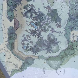 Proposed Baboon Exhibit - September, 2010