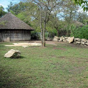 Africa-Aldabra Giant Tortoise Exhibit