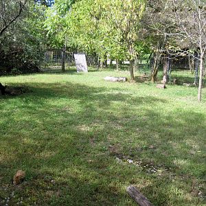 Africa-Blue Duiker Exhibit
