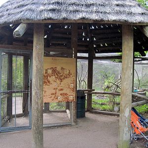 Africa-Scrubland Aviary Entrance