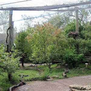 Africa-Scrubland Aviary