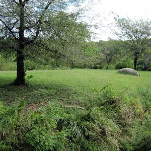 Africa-African Lion Exhibit