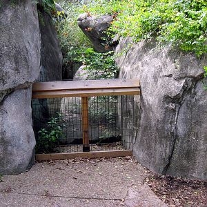 Africa-Meerkat Exhibit