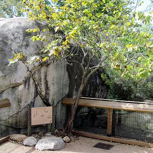 Africa-Meerkat Exhibits