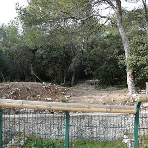 One of the cheetah exhibits