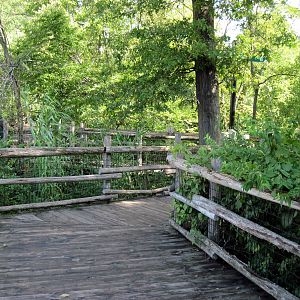 Africa-Boardwalk in Tanzania