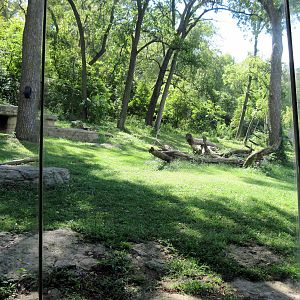 Africa-Chimpanzee Exhibit