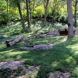 Africa-Chimpanzee Exhibit