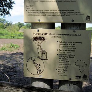 Africa-Signage