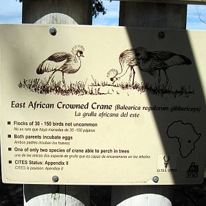 Africa-Signage