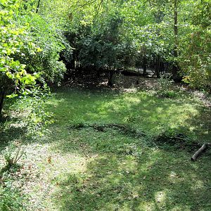 Africa-Kori Bustard Exhibit