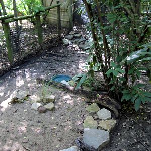 Africa-Leopard Tortoise Exhibit
