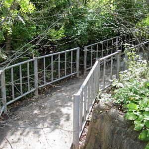 Africa-Nile Hippopotamus Ramp