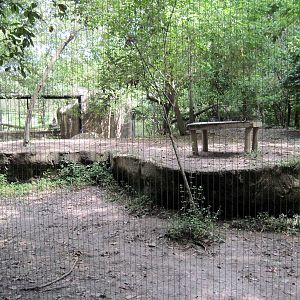 Africa-African Wild Dog Exhibit
