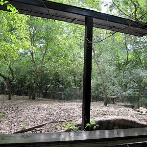 Africa-African Wild Dog Exhibit