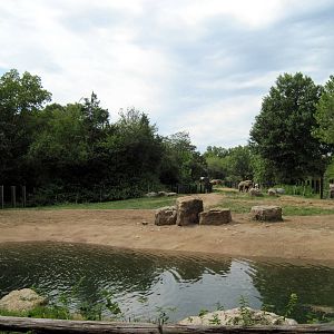 Africa-African Elephant Exhibit