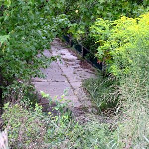 The Valley-Old Bear Grottos