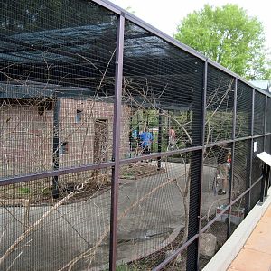 KidZone-Rainbow Lorikeet Exhibit