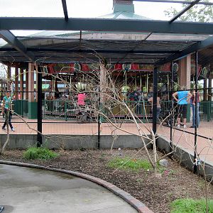 KidZone-Rainbow Lorikeet Exhibit