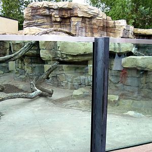 North American River Otter Exhibit