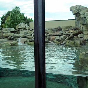 North American River Otter Exhibit
